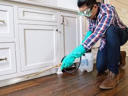 Best Pest Exclusion Services  in Shepherd, MI